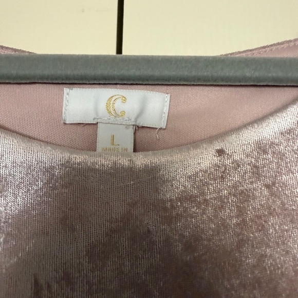 C Velvet Mini Dress in Blush - Picture 2 of 4